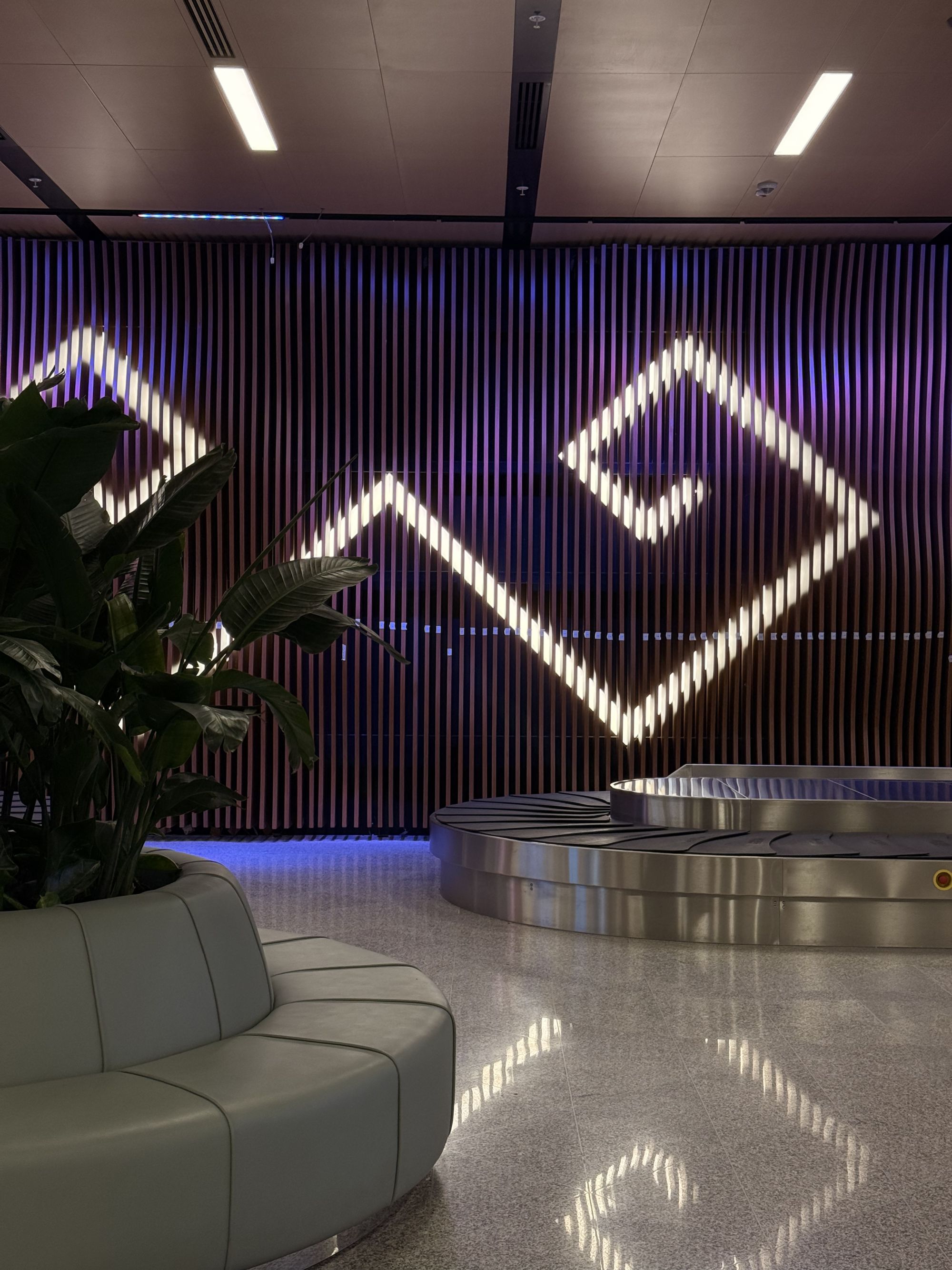 Almaty Airport Baggage Claim Hall